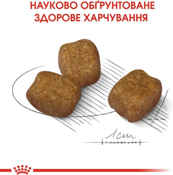 Корм Royal Canin для собак MINI DENTAL CARE (Міні Дентал Кер), 3 кг