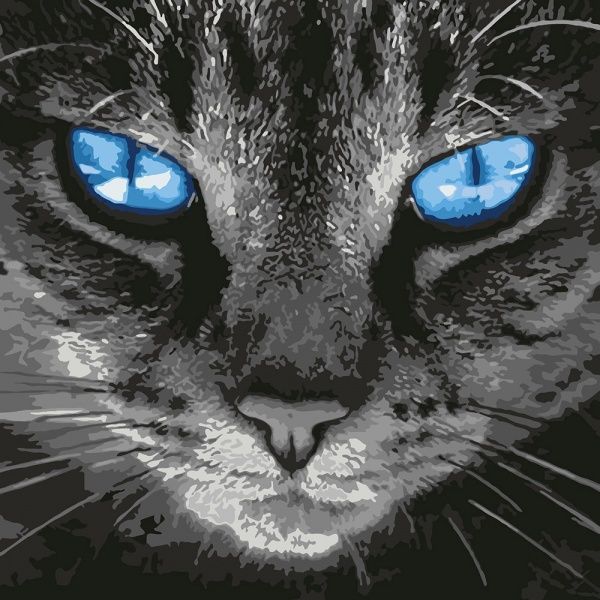 Картина за номерами Пронизливий погляд Ідейка 