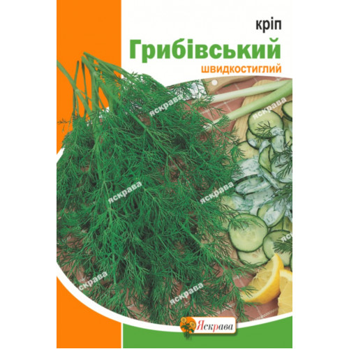 Семена Яскрава укроп Грибовский