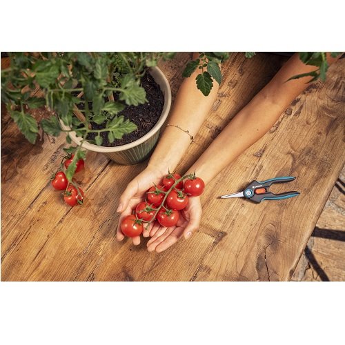Ножиці для квітів Gardena FreshCut (12212-20.000.00) 