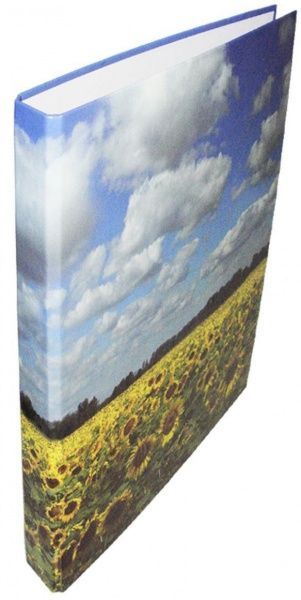 Папка 4 кільця 25мм А4, ЛЮКС,ассорті