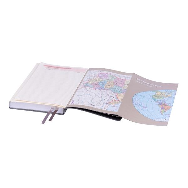 Щоденник А5 Boss 2021 сірий Leo Planner