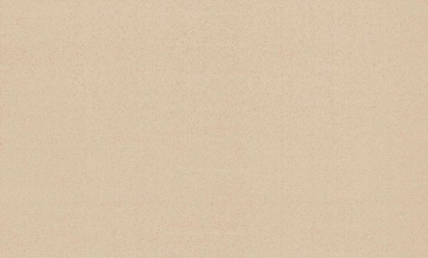 Шпалери вінілові на флізеліновій основі MEGAPOLIS 9162-05 1,06x10,05 м 