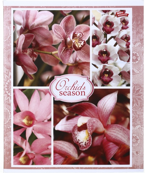 Тетрадь школьная 96 листов в клеточку в ассортименте Мечты сбываются