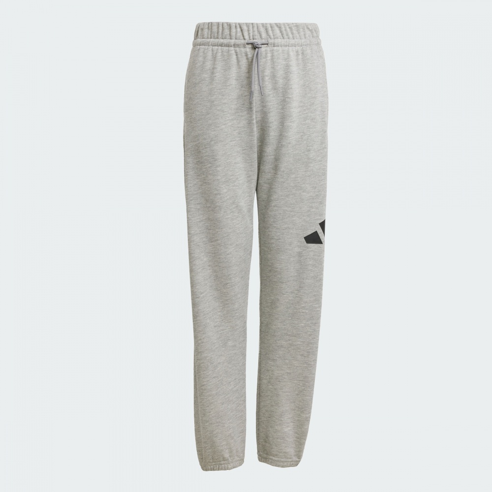 Штани Adidas J BL FT PT 280 JD2092 р. 7-8YRS сірий