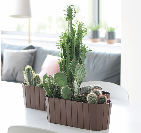 Ящик балконний Prosperplast Boardee Case прямокутний 7.9л (25685-222) коричневий 