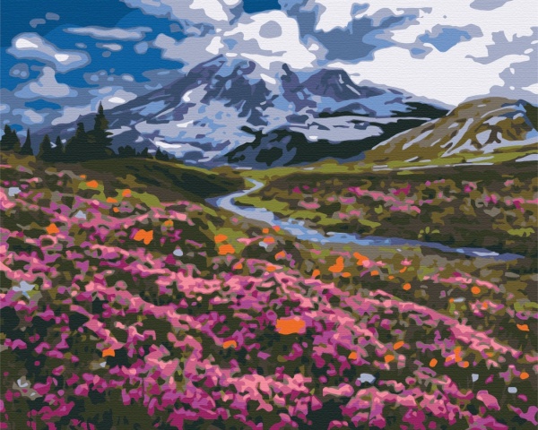 Картина за номерами Альпійський луг PBS34648 40x50 см Brushme 
