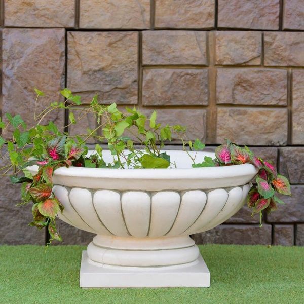 Клумба Garmonia santorini