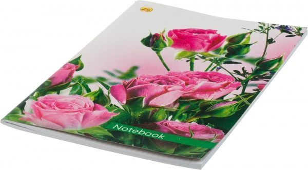 Тетрадь школьная 48 листов в клетку 13588 Тетрада