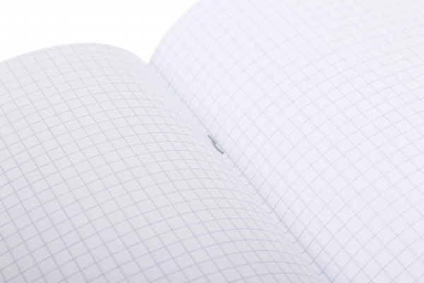 Тетрадь школьная Graffiti 96 листов клетка Nota Bene