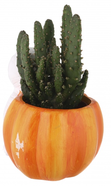 Растение Кактус в горшке хеллоуин 6/12