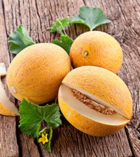 Семена Садовий Світ дыня Ананас 2г