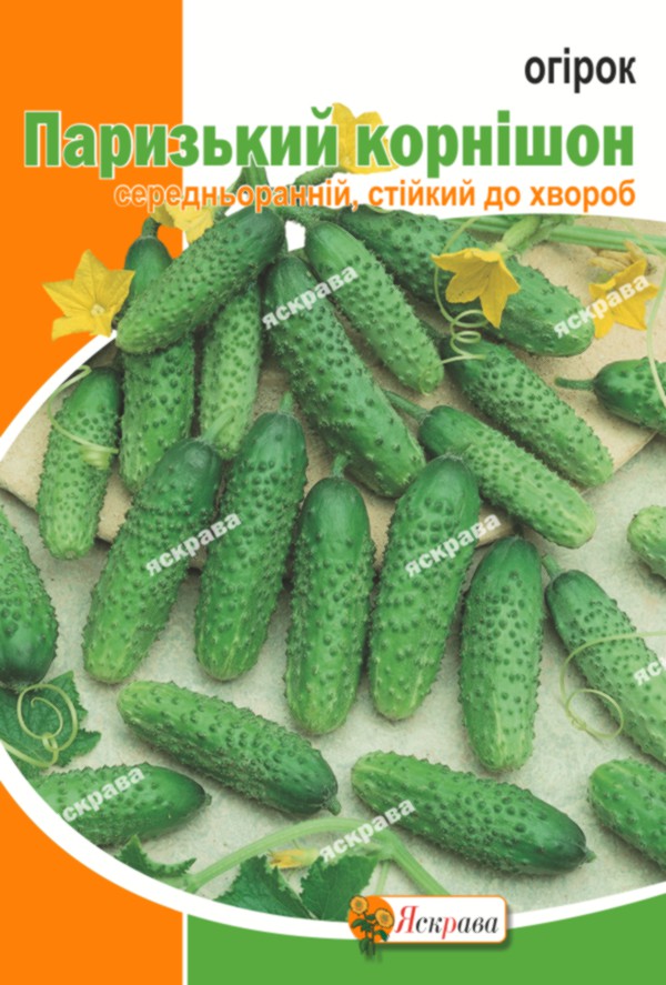 Семена Яскрава огурец ПАРИЖСКИЙ КОРНИШОН