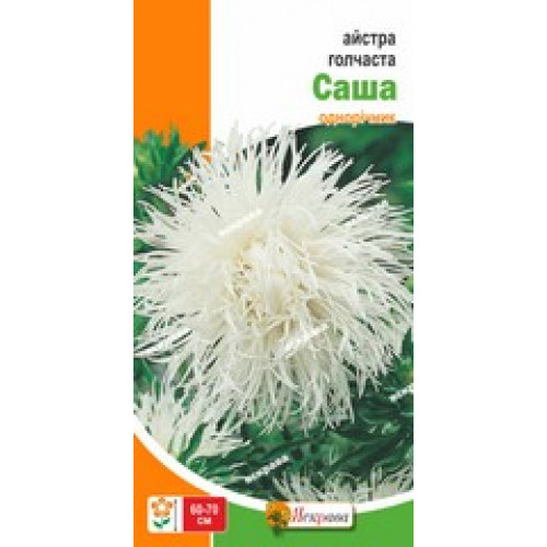 Семена Яскрава астра игольчатая Саша