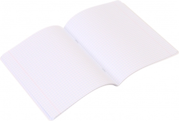 Зошит шкільний Anime скоба 48 аркушів в клітинку Мрії збуваються