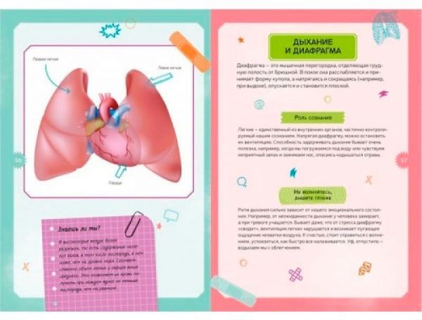 Книга «Детская энциклопедия. Тело человека» 978-5-389-14752-2