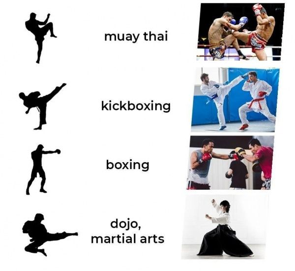 Лапи боксерські PowerPlay 3073 2x17x20 см чорно-зелений 