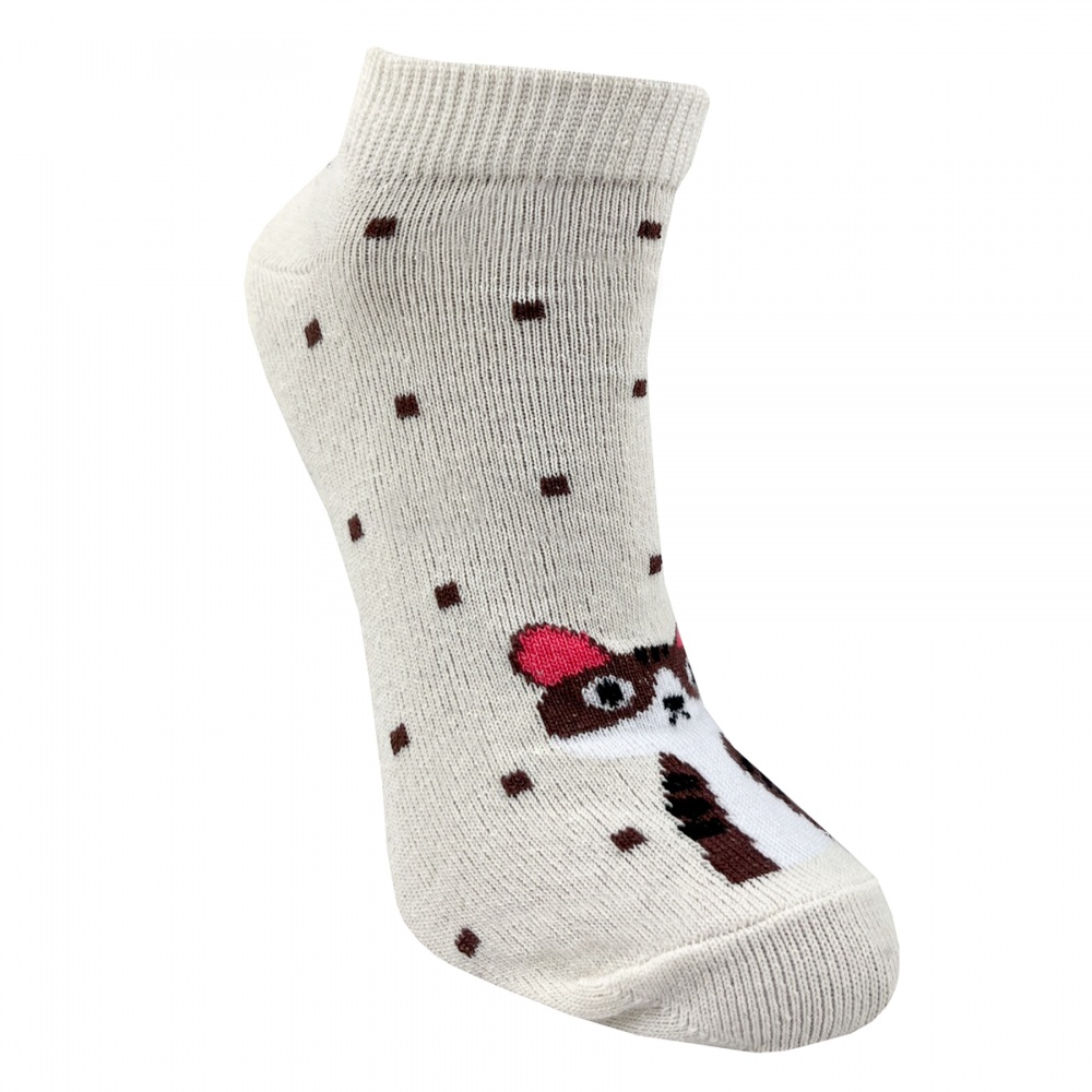 Шкарпетки жіночі Premier Socks Економ котики р.23-25 бежевий