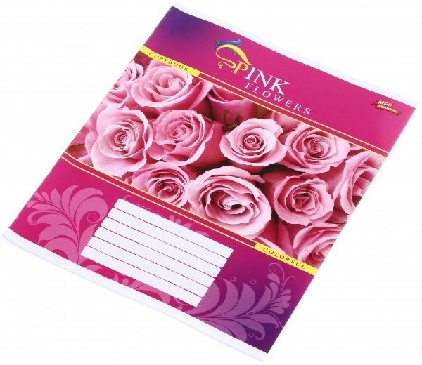 Зошит шкільний 24 аркуша у клітинку в асортименті Мрії збуваються