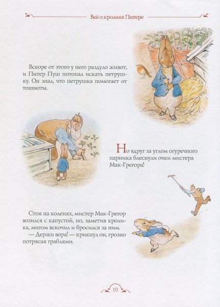 Книга Беатрис Поттер «Все про кролика Пітера» 978-966-462-908-6