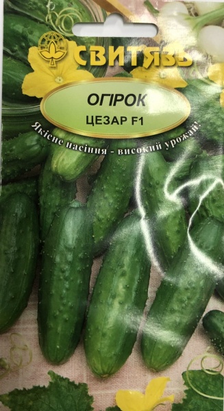 Семена Свитязь огурец Цезарь F1 5г (4820009676725)