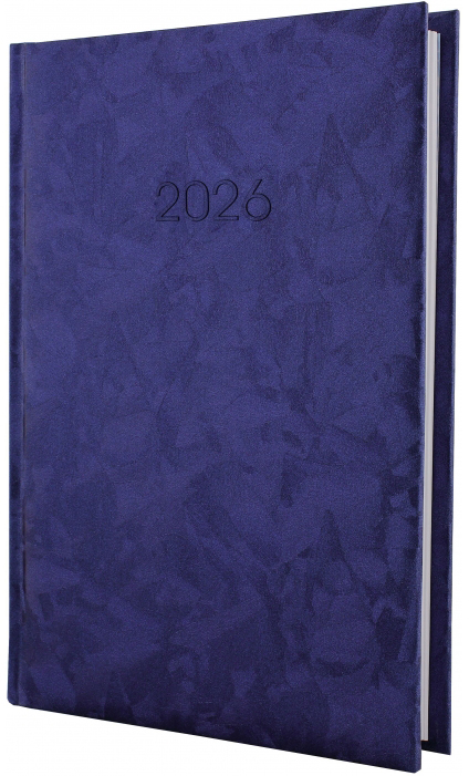 Щоденник датований Economix Gallaxy A5 2026 E21693-02 синій