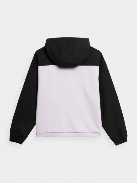 Джемпер 4F WOSWEATSHIRT BLD018 H4Z22-BLD018-52S р. XL черно-фиолетовый