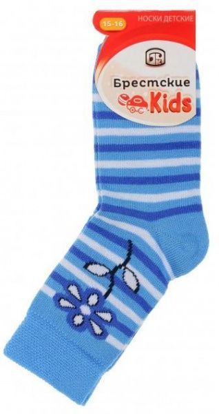 Носки детские Брестские детские 3081 29 р.15-16 голубой 