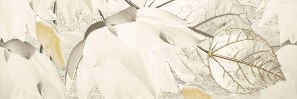 Плитка Ceramika Paradyz MAGNOLIA GRYS INSERTO C 25х75 