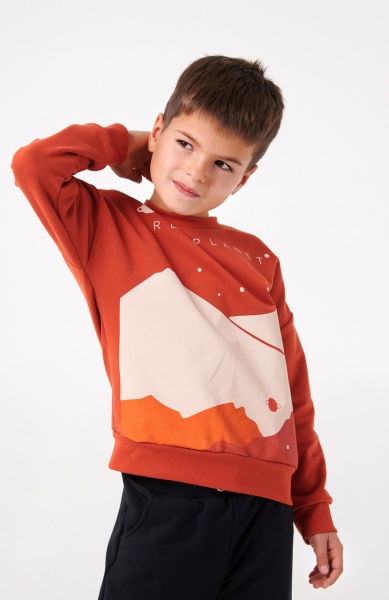 Толстовка для мальчика Smil р.140 кирпичный 116548 