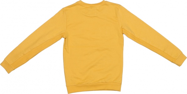 Джемпер для мальчика NWM р.140 темно-желтый U44284-1 