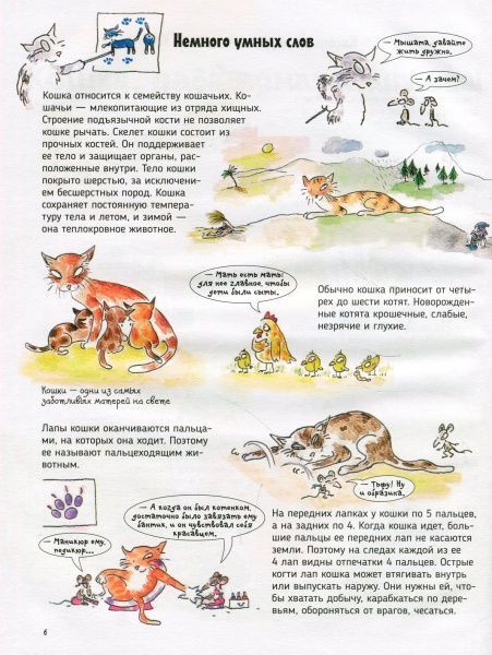 Книга «Книга Кішки.Про що говорять тварини.»