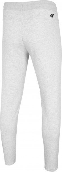 Штани 4F H4L20-SPMD010-27M р. XL світло-сірий