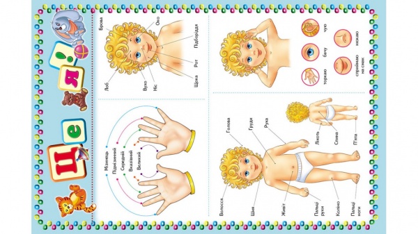 Книга «Моя перша книга (зелена)» 978-966-913-514-8