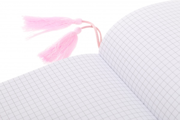 Книга для записей Летние нотки с кисточками А5 80 листов клетка