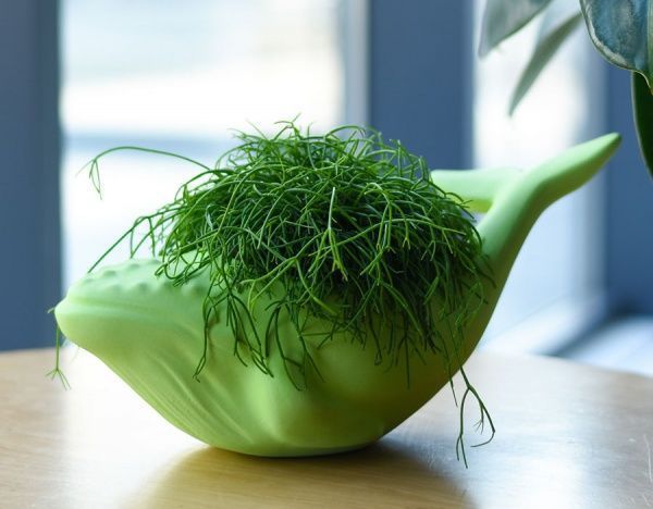 Кашпо Animal Land Кит зеленый Дон Пион