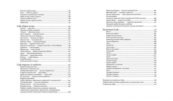 Книга Стефан Каста «Експедиція з мурахою Софі» 978-966-915-257-2