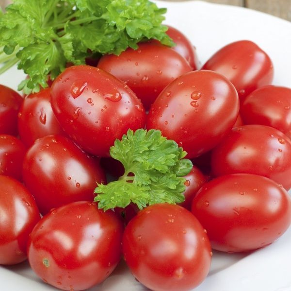 Семена Професійне насіння томат низкорослый Ксико F1 20 шт. (4820176693372)