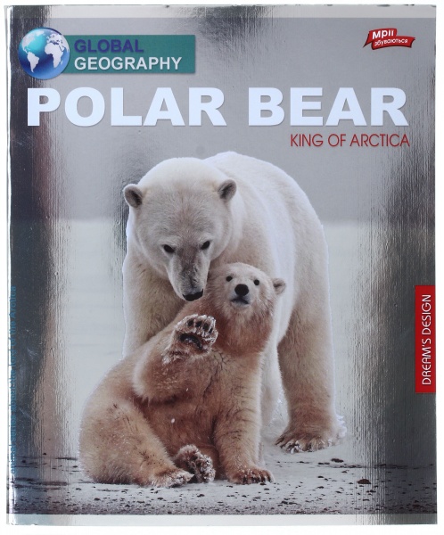 Тетрадь школьная серебро 4 листов в клеточку в ассортименте Мечты сбываются