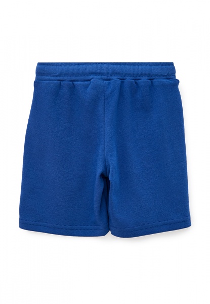 Шорты для мальчиков Роза р.116 электрик 210235 