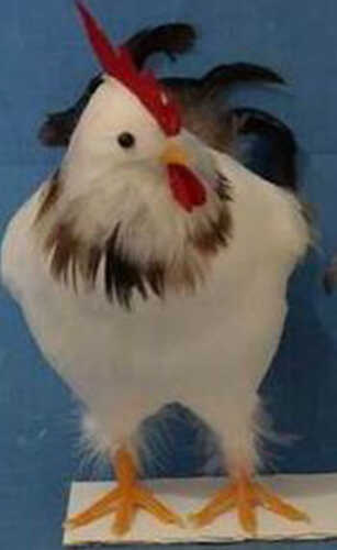 Декорация пасхальная курица A24887-1 23х19 см