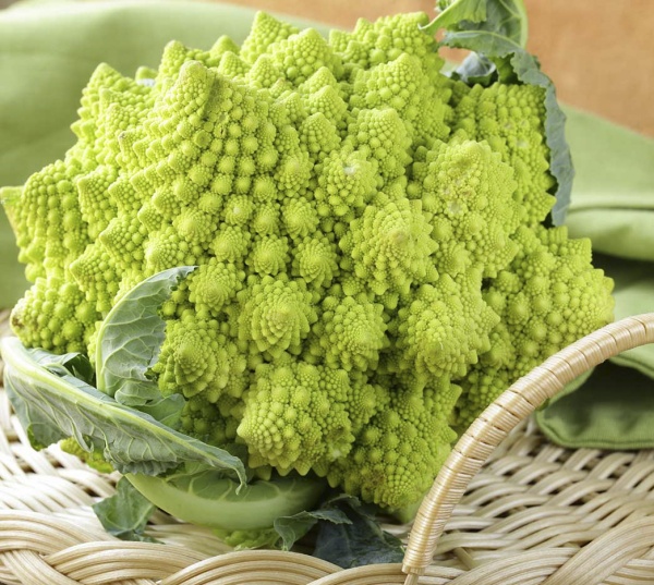 Семена Професійне насіння капуста цветная Романеско 0,2г (4820176690197)