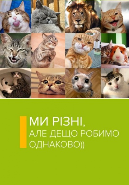 Наповнювач деревний ДЖО 3 кг 