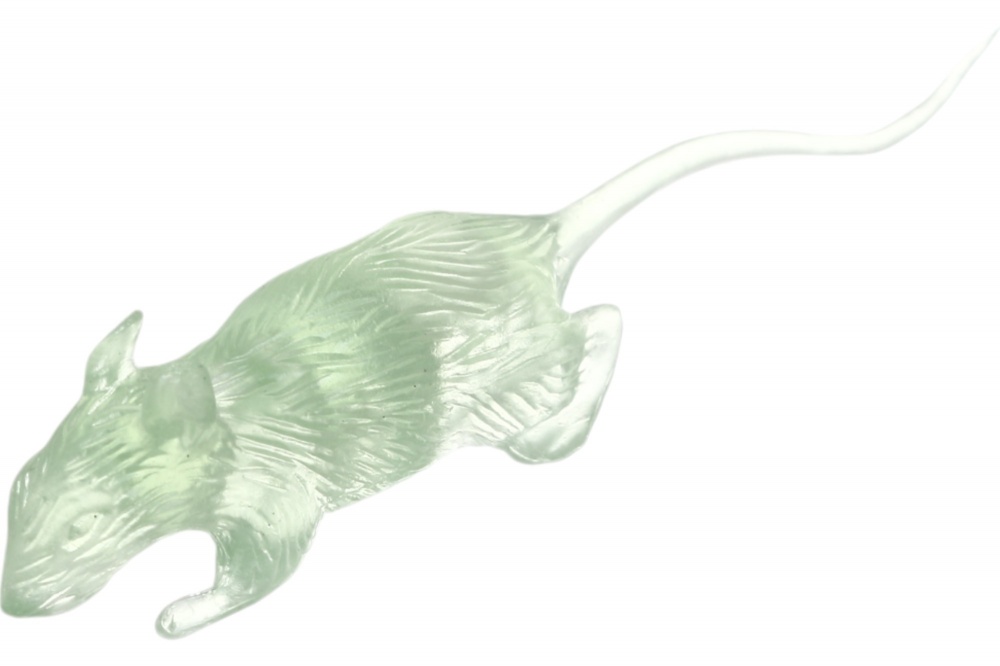 Декор на Хэллоуин Животные 6 шт в ассортименте 491663350