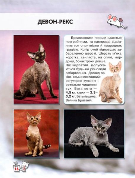 Книга Тамара Протасовицкая «Світ навколо нас. Кішки» 978-966-936-750-1