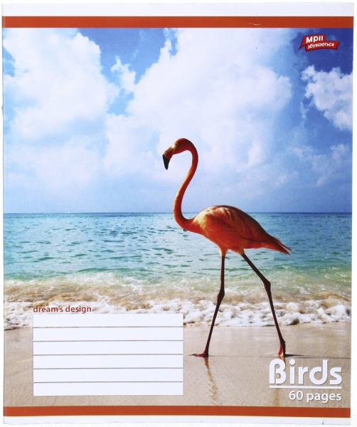 Зошит шкільний 60 аркушів у клітинку в асортименті Мрії збуваються