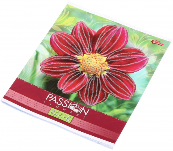 Тетрадь школьная с глитером 60 листов в клеточку в ассортименте Мечты сбываются