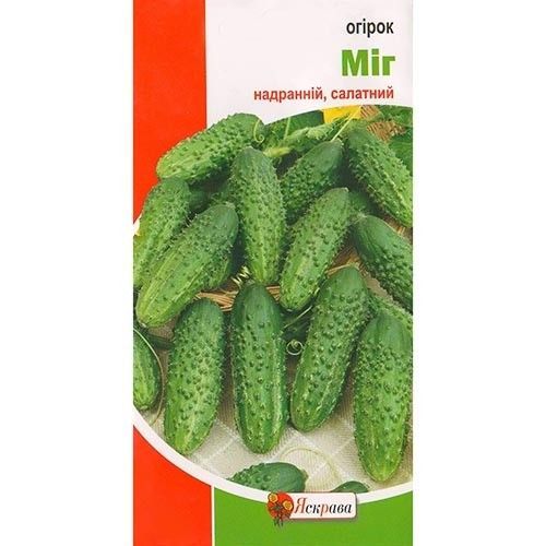 Семена Яскрава огурец однолетний 1г