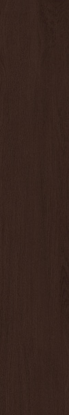 Плитка Allore Group Timber Brown F PR R Mat 19,8x120 