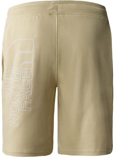 Шорти THE NORTH FACE M GRAPHIC SHORT LIGHT NF0A3S4F3X41 р. L бежевий